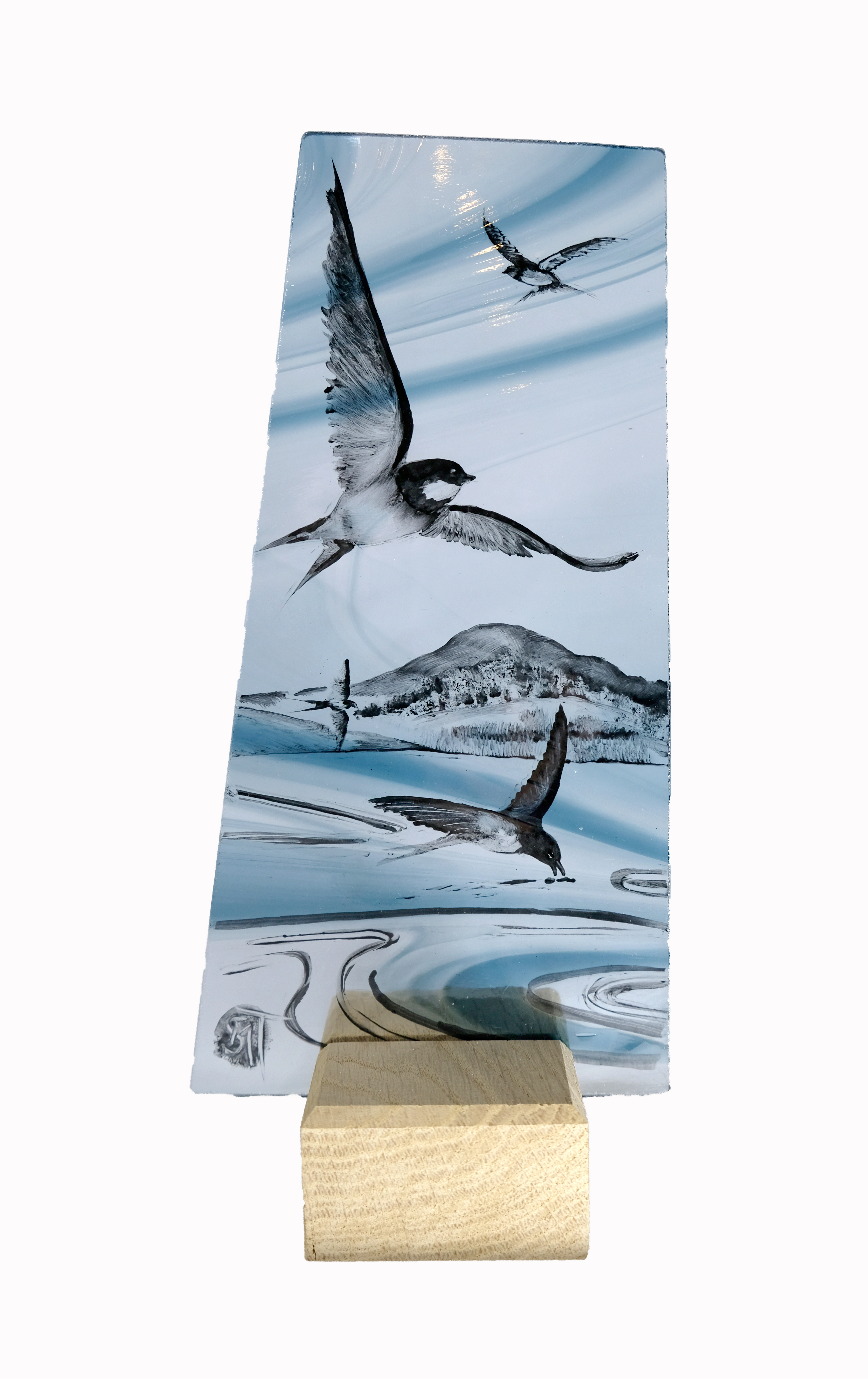 Swallows make a summer.